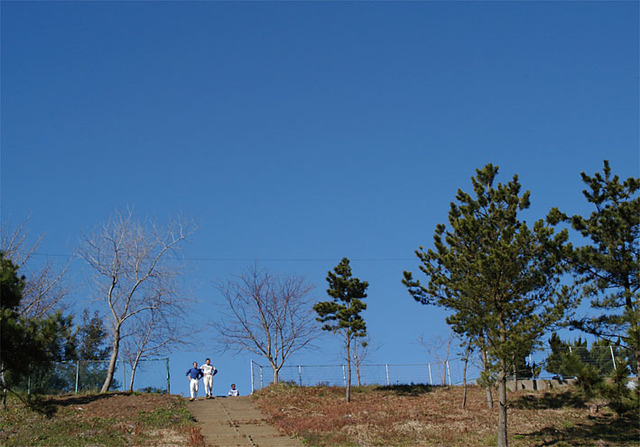 031228d100_0046_sihigakukan_1228.jpg