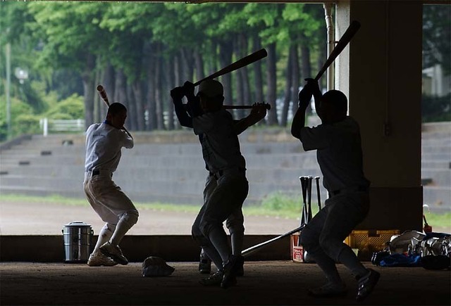 060514d1x_0246_shigakukan.jpg