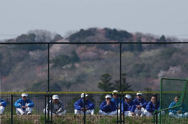 s_060401d1x_0378_shigakukan.jpg